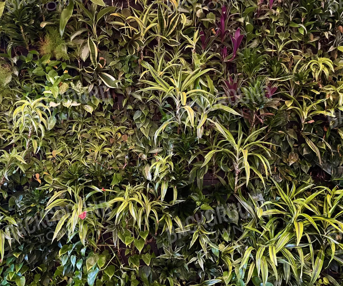 Living Wall 5X42 Fleece ( 60 X 50 Inch ) Backdrop