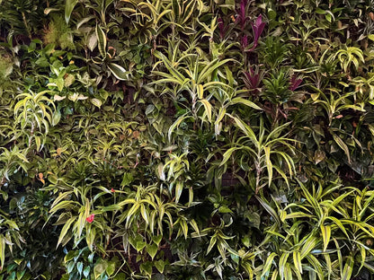 Living Wall 68X5 Fleece ( 80 X 60 Inch ) Backdrop