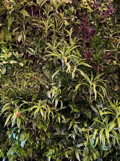 Living Wall 8X10 Fleece ( 96 X 120 Inch ) Backdrop