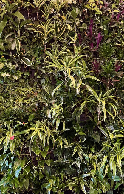 Living Wall 8X12 Ultracloth ( 96 X 144 Inch ) Backdrop