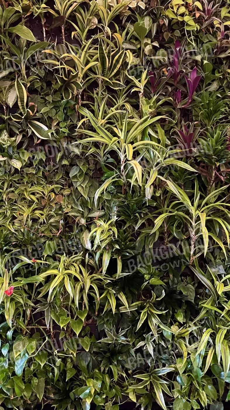 Living Wall 8X14 Ultracloth ( 96 X 168 Inch ) Backdrop