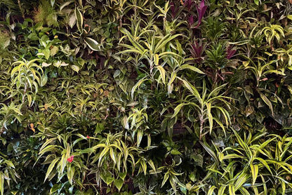 Living Wall 8X5 Ultracloth ( 96 X 60 Inch ) Backdrop