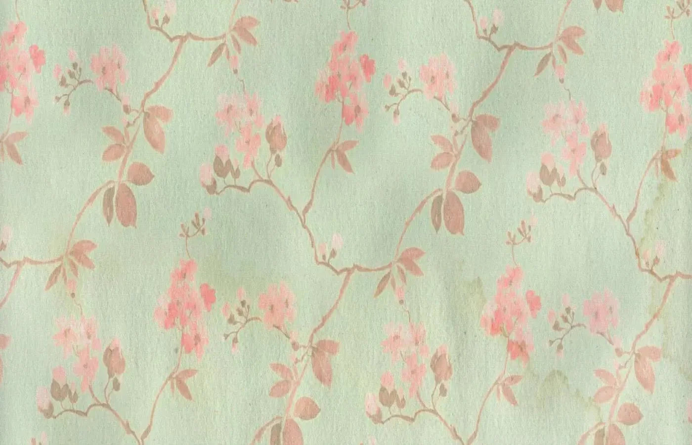 Liza 12X8 Ultracloth ( 144 X 96 Inch ) Backdrop