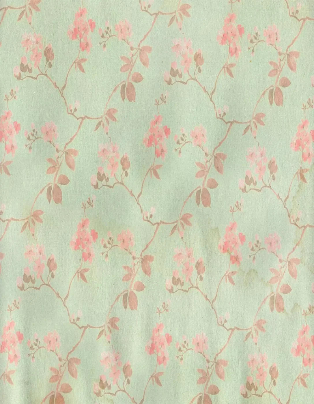 Liza 6X8 Fleece ( 72 X 96 Inch ) Backdrop