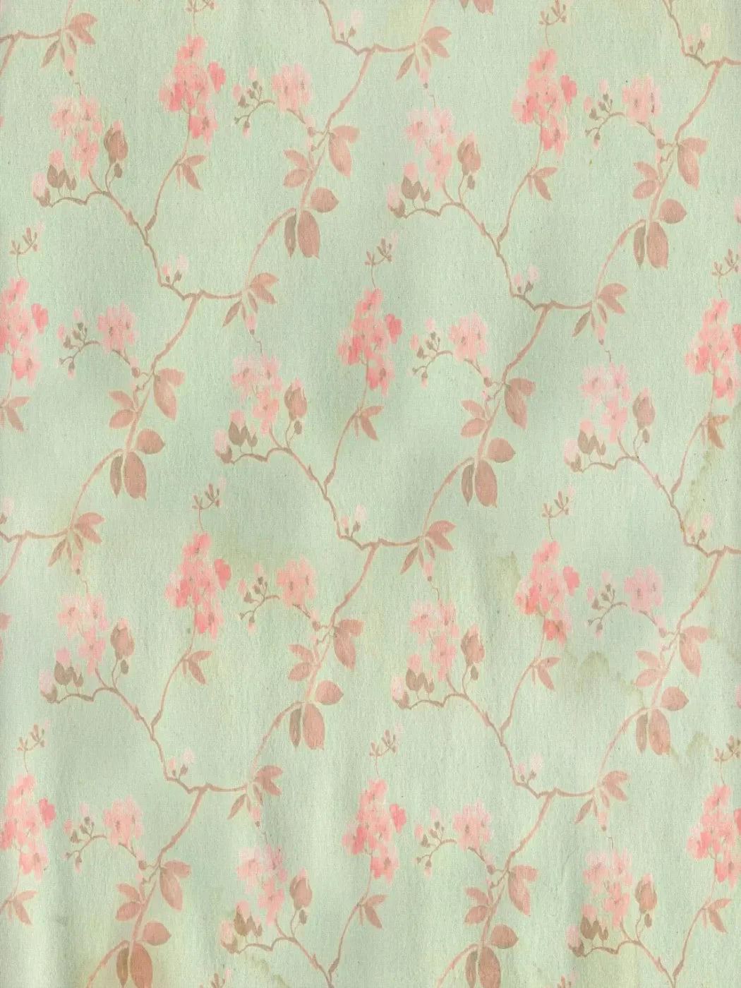 Liza 8X10 Fleece ( 96 X 120 Inch ) Backdrop
