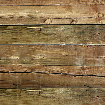 Lloyd 10X10 Ultracloth ( 120 X Inch ) Backdrop