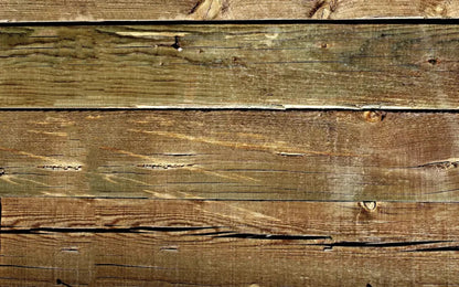 Lloyd 14X9 Ultracloth ( 168 X 108 Inch ) Backdrop