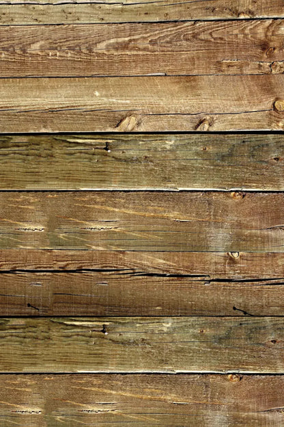 Lloyd Backdrop