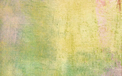 Lolli 14X9 Ultracloth ( 168 X 108 Inch ) Backdrop