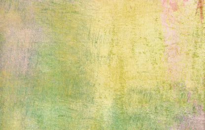 Lolli 16X10 Ultracloth ( 192 X 120 Inch ) Backdrop