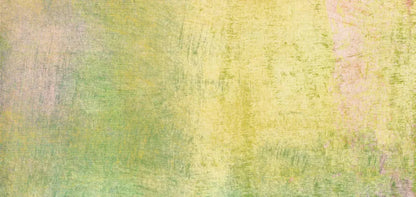Lolli 16X8 Ultracloth ( 192 X 96 Inch ) Backdrop