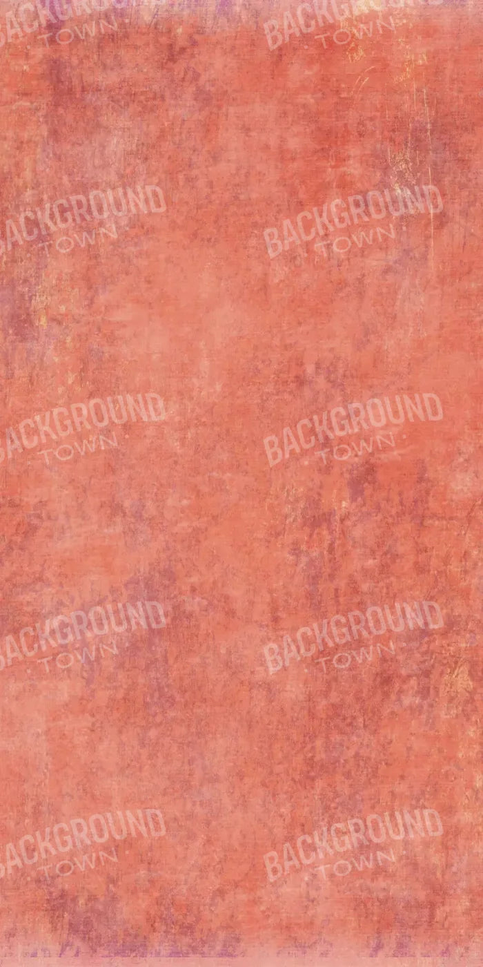 Lonna 10X20 Ultracloth ( 120 X 240 Inch ) Backdrop