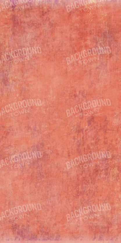 Lonna 10X20 Ultracloth ( 120 X 240 Inch ) Backdrop