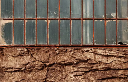Lookout 12X8 Ultracloth ( 144 X 96 Inch ) Backdrop