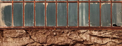 Lookout 20X8 Ultracloth ( 240 X 96 Inch ) Backdrop