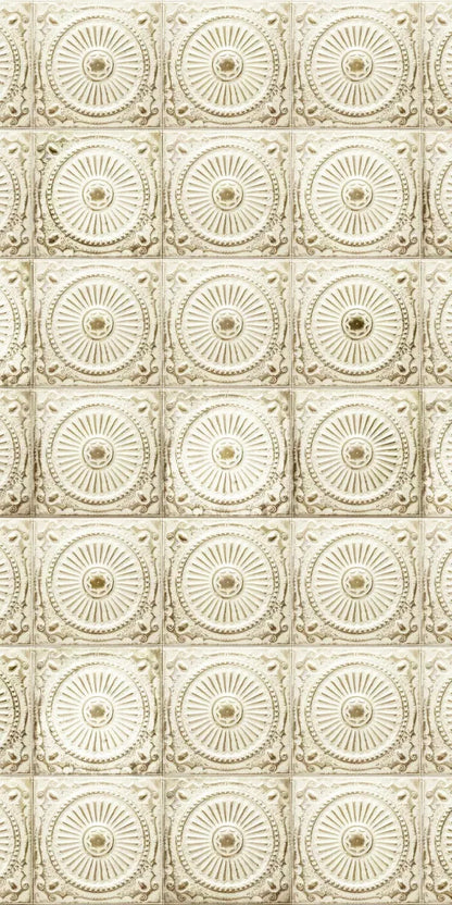 Loop 10X20 Ultracloth ( 120 X 240 Inch ) Backdrop