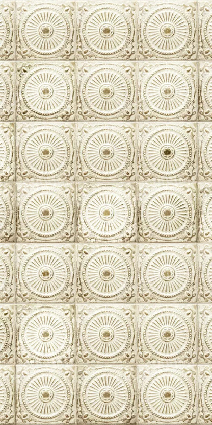 Loop 10X20 Ultracloth ( 120 X 240 Inch ) Backdrop