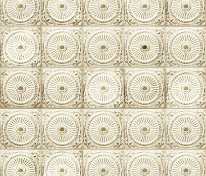 Loop 12X10 Ultracloth ( 144 X 120 Inch ) Backdrop