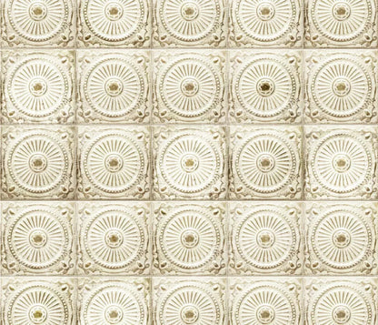 Loop 12X10 Ultracloth ( 144 X 120 Inch ) Backdrop