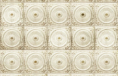 Loop 12X8 Ultracloth ( 144 X 96 Inch ) Backdrop