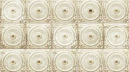 Loop 14X8 Ultracloth ( 168 X 96 Inch ) Backdrop