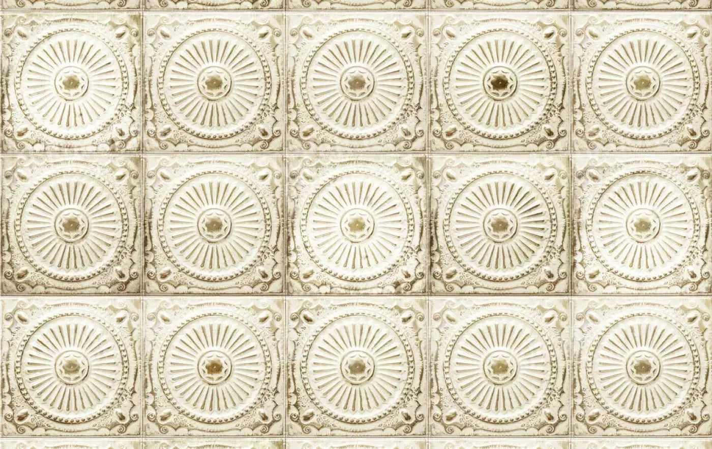 Loop 16X10 Ultracloth ( 192 X 120 Inch ) Backdrop