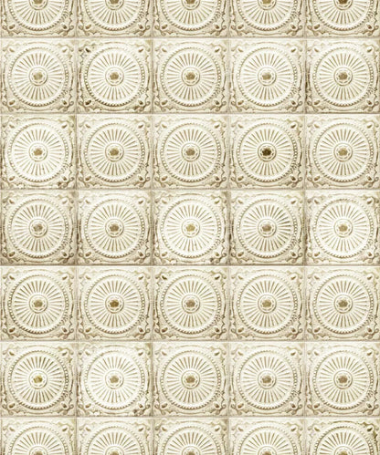 Beige Boudoir Backdrop for Photography