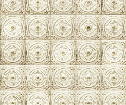 Loop 5X42 Fleece ( 60 X 50 Inch ) Backdrop