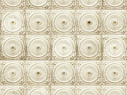 Loop 68X5 Fleece ( 80 X 60 Inch ) Backdrop