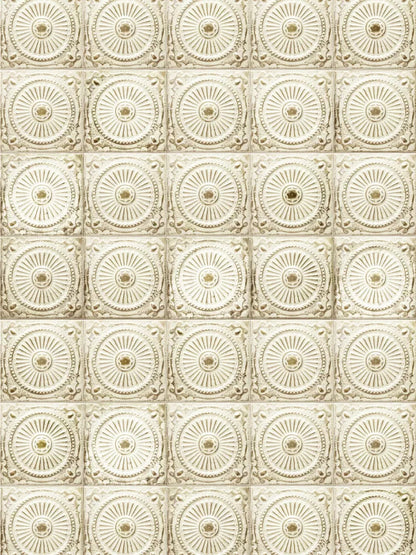 Loop 8X10 Fleece ( 96 X 120 Inch ) Backdrop