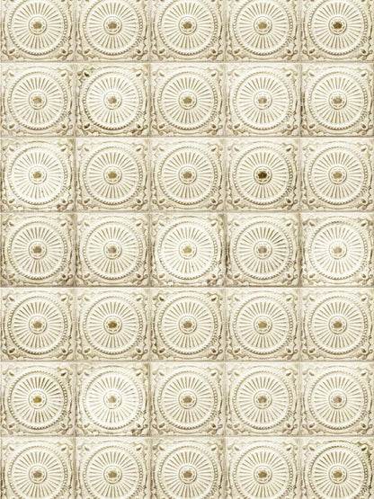 Loop 8X10 Fleece ( 96 X 120 Inch ) Backdrop