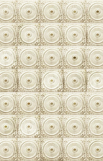 Loop 8X12 Ultracloth ( 96 X 144 Inch ) Backdrop