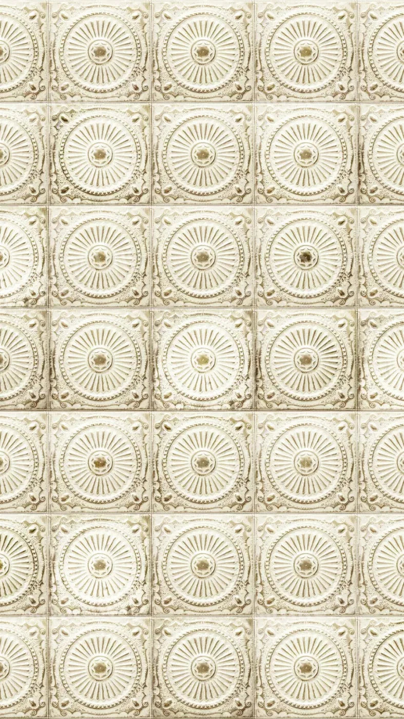 Loop 8X14 Ultracloth ( 96 X 168 Inch ) Backdrop