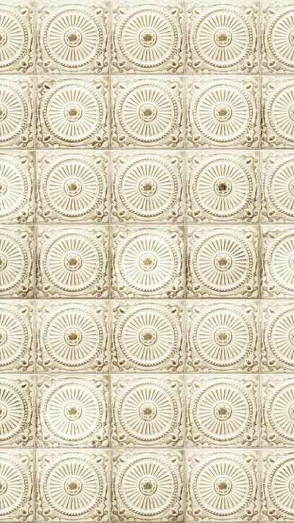 Loop 8X14 Ultracloth ( 96 X 168 Inch ) Backdrop