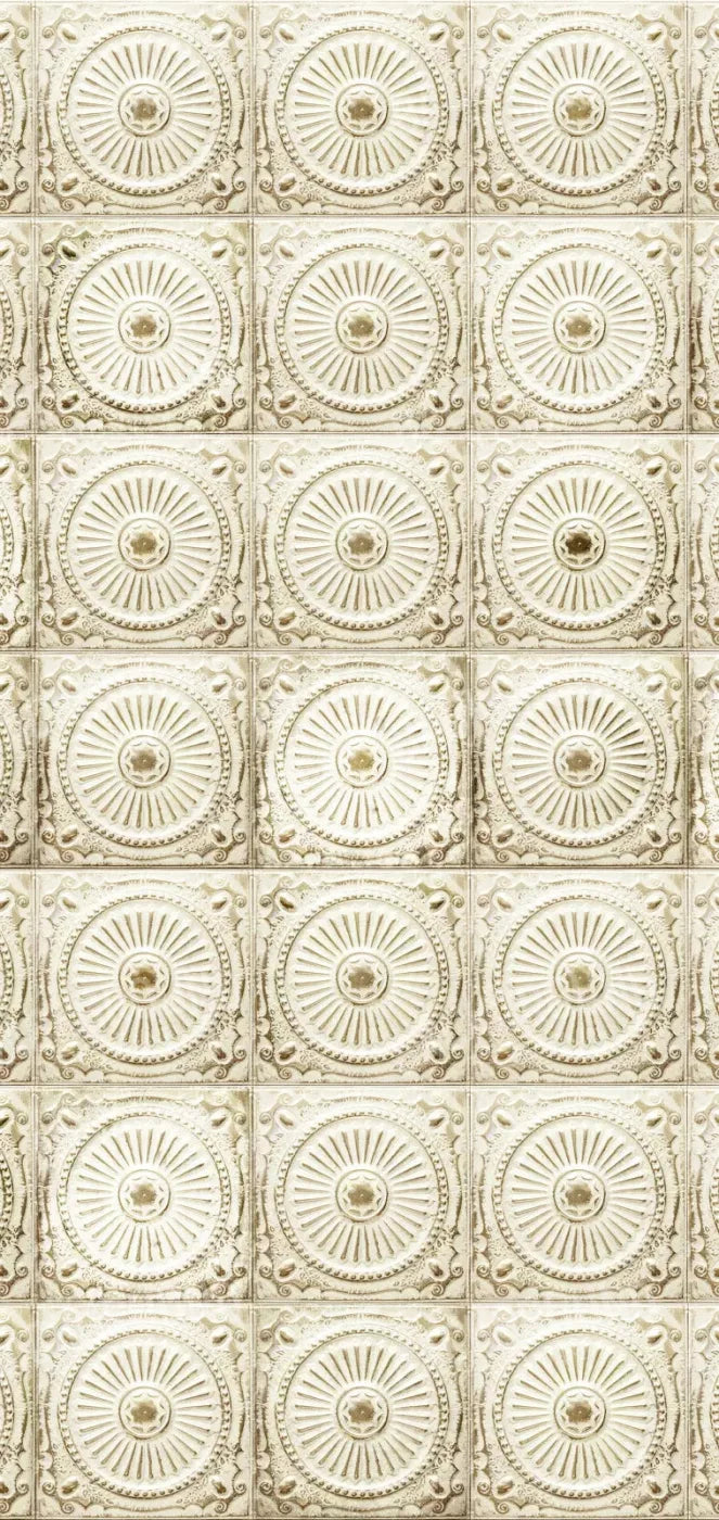 Loop 8X16 Ultracloth ( 96 X 192 Inch ) Backdrop