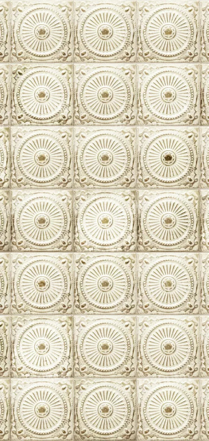 Loop 8X16 Ultracloth ( 96 X 192 Inch ) Backdrop