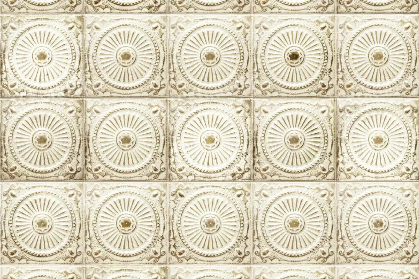 Loop 8X5 Ultracloth ( 96 X 60 Inch ) Backdrop