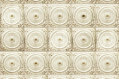 Loop 8X5 Ultracloth ( 96 X 60 Inch ) Backdrop