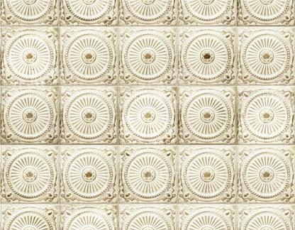 Loop 8X6 Fleece ( 96 X 72 Inch ) Backdrop