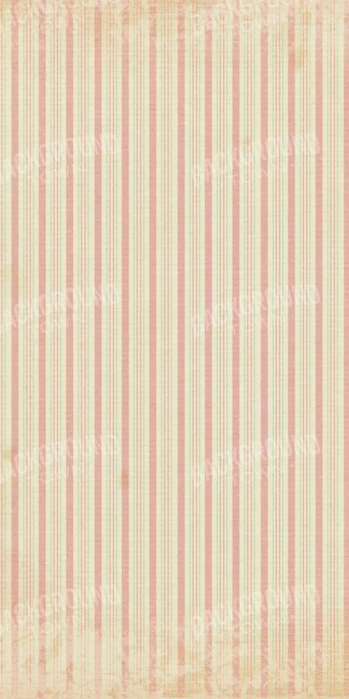 Loraine 10X20 Ultracloth ( 120 X 240 Inch ) Backdrop