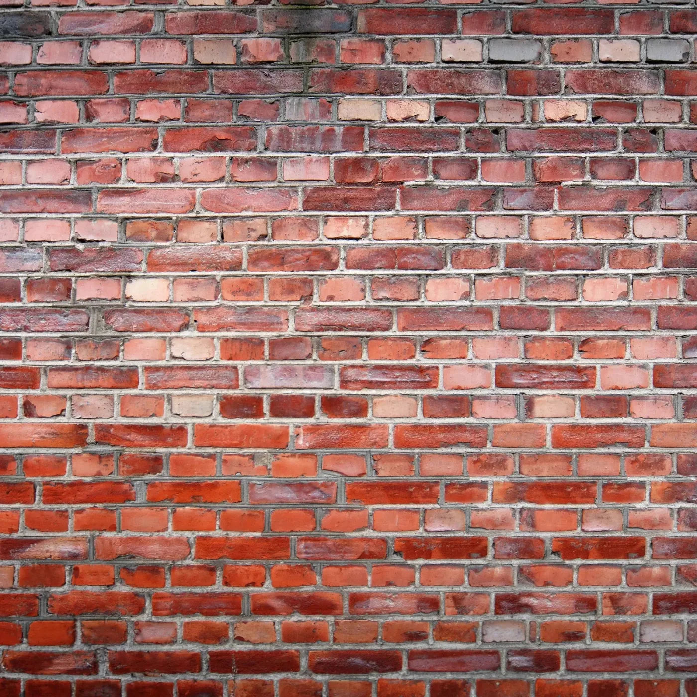 Love That Brick 10X10 Ultracloth ( 120 X Inch ) Backdrop