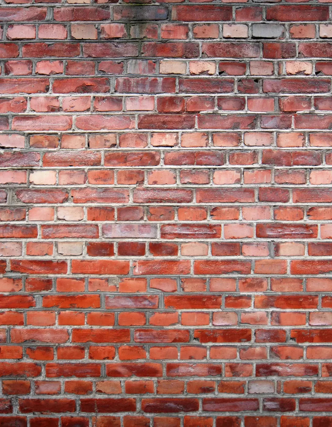 Love That Brick 6X8 Fleece ( 72 X 96 Inch ) Backdrop