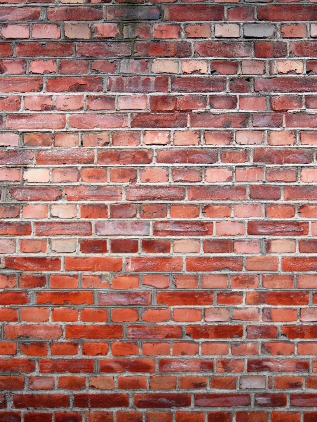 Love That Brick 8X10 Fleece ( 96 X 120 Inch ) Backdrop