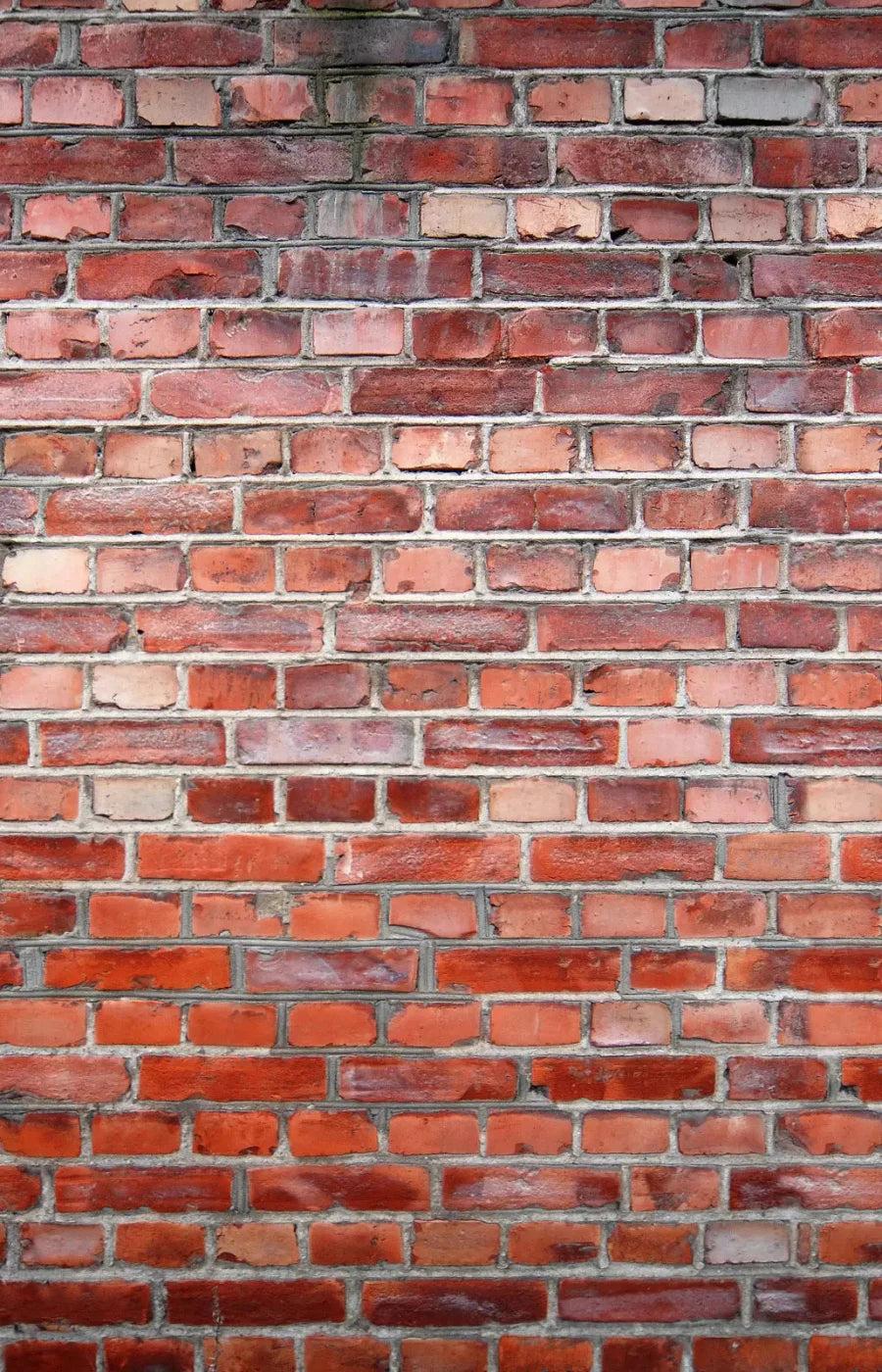 Love That Brick 8X12 Ultracloth ( 96 X 144 Inch ) Backdrop