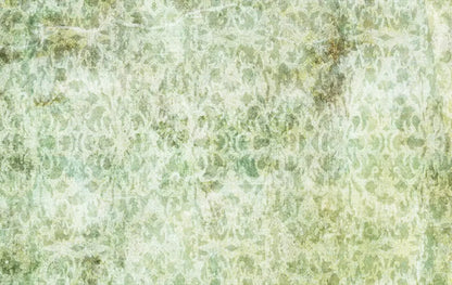 Loyal 16X10 Ultracloth ( 192 X 120 Inch ) Backdrop