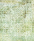 Green Damask Backdrop for Photography