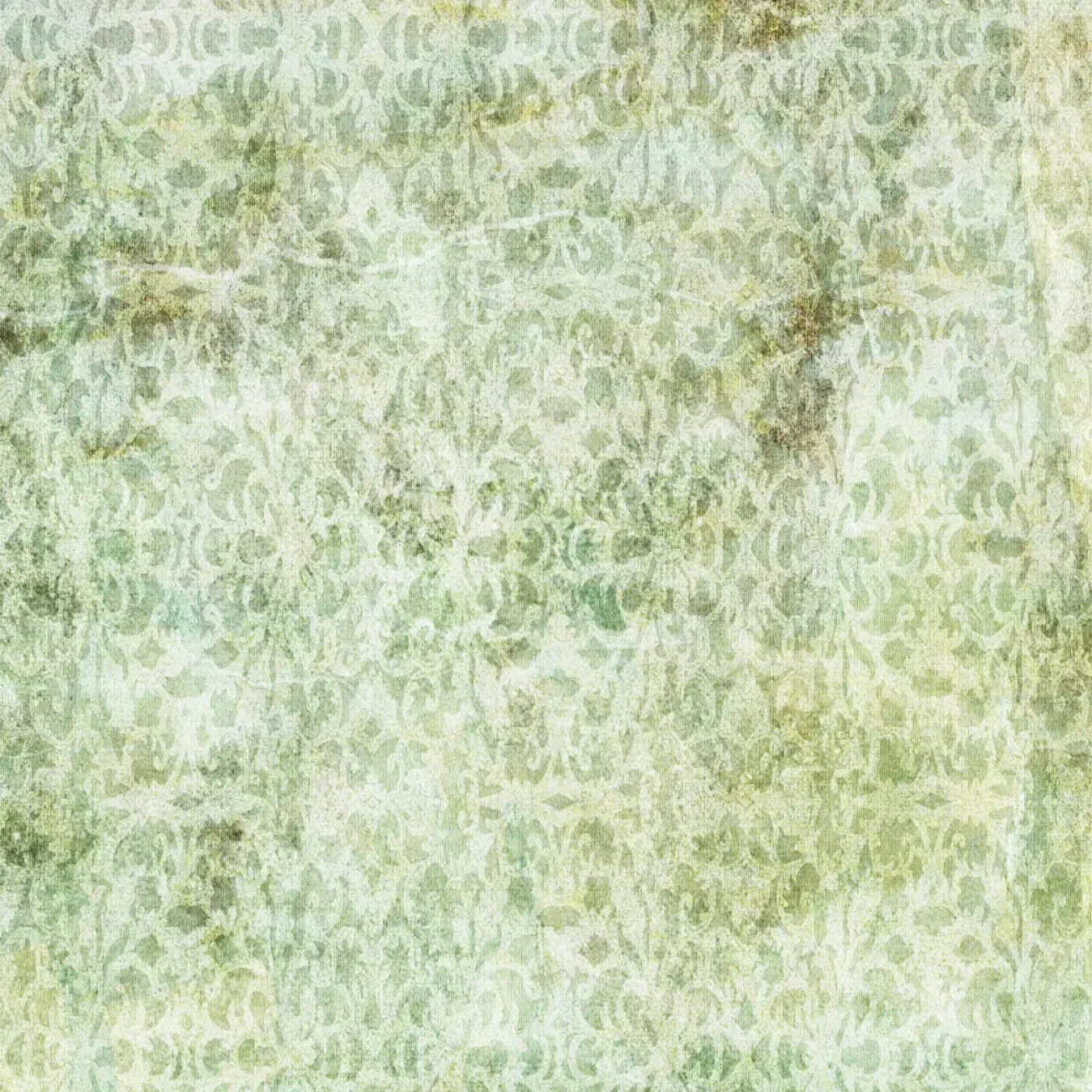 Loyal Backdrop