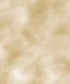 Beige Painted Backdrop for Photography