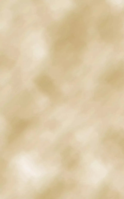 Lucas 9X14 Ultracloth ( 108 X 168 Inch ) Backdrop