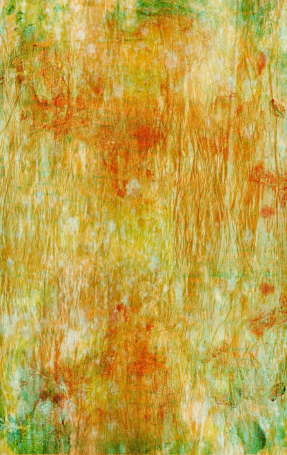 Lucid 10X16 Ultracloth ( 120 X 192 Inch ) Backdrop